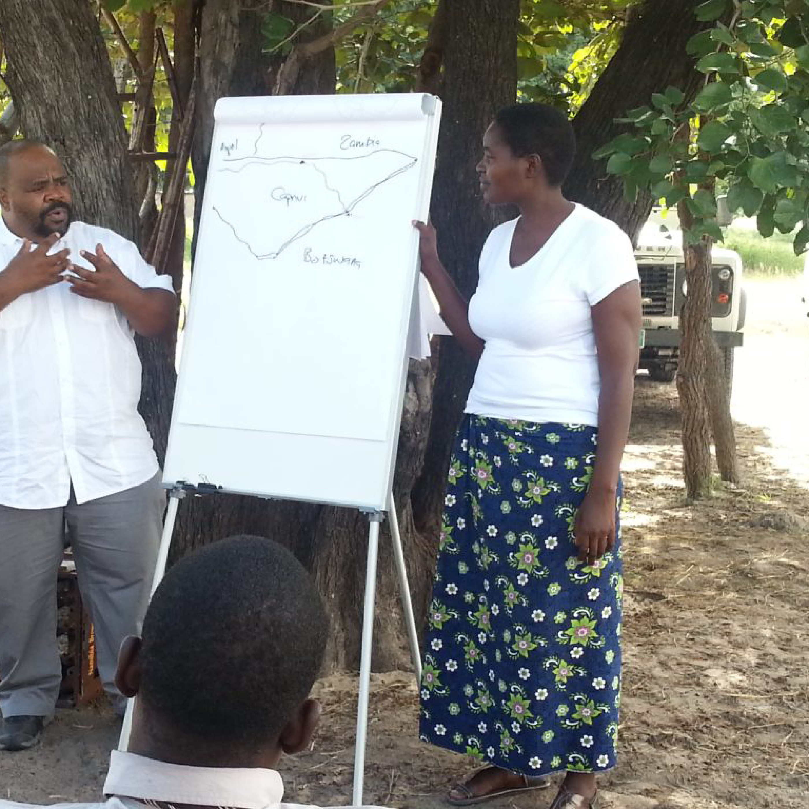 International Development Agencies