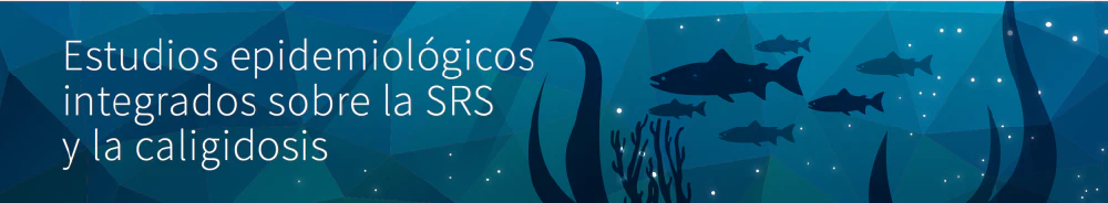 Integrated commercial data to empower salmon industry Featured Image